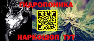 бутират Кингисепп