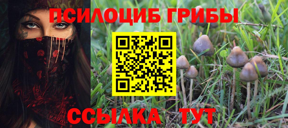 Усинск  что такое наркотик  Вход с VPN  Псилоцибиновые грибы мицелий 